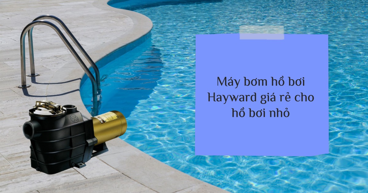 Máy bơm hồ bơi Hayward giá rẻ cho hồ bơi nhỏ Hướng dẫn lựa chọn và mua hàng