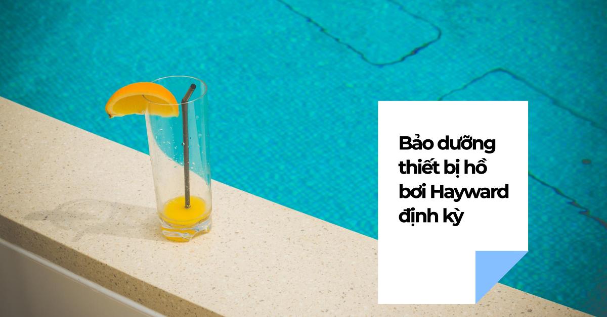 Bảo dưỡng thiết bị hồ bơi Hayward định kỳ