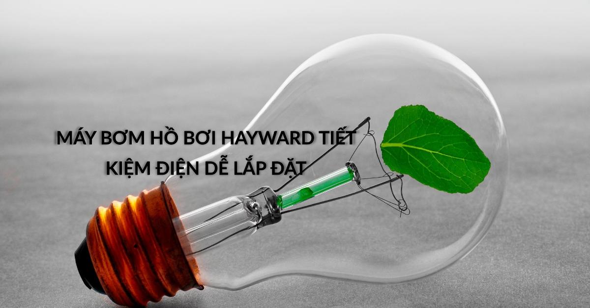 Máy bơm hồ bơi Hayward tiết kiệm điện dễ lắp đặt: Giải pháp tiết kiệm điện và dễ lắp đặt
