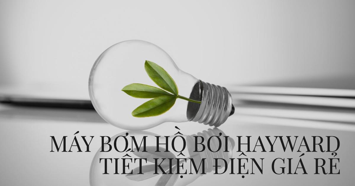 Máy bơm hồ bơi Hayward tiết kiệm điện giá rẻ - Giải pháp hoàn hảo cho hồ bơi của bạn