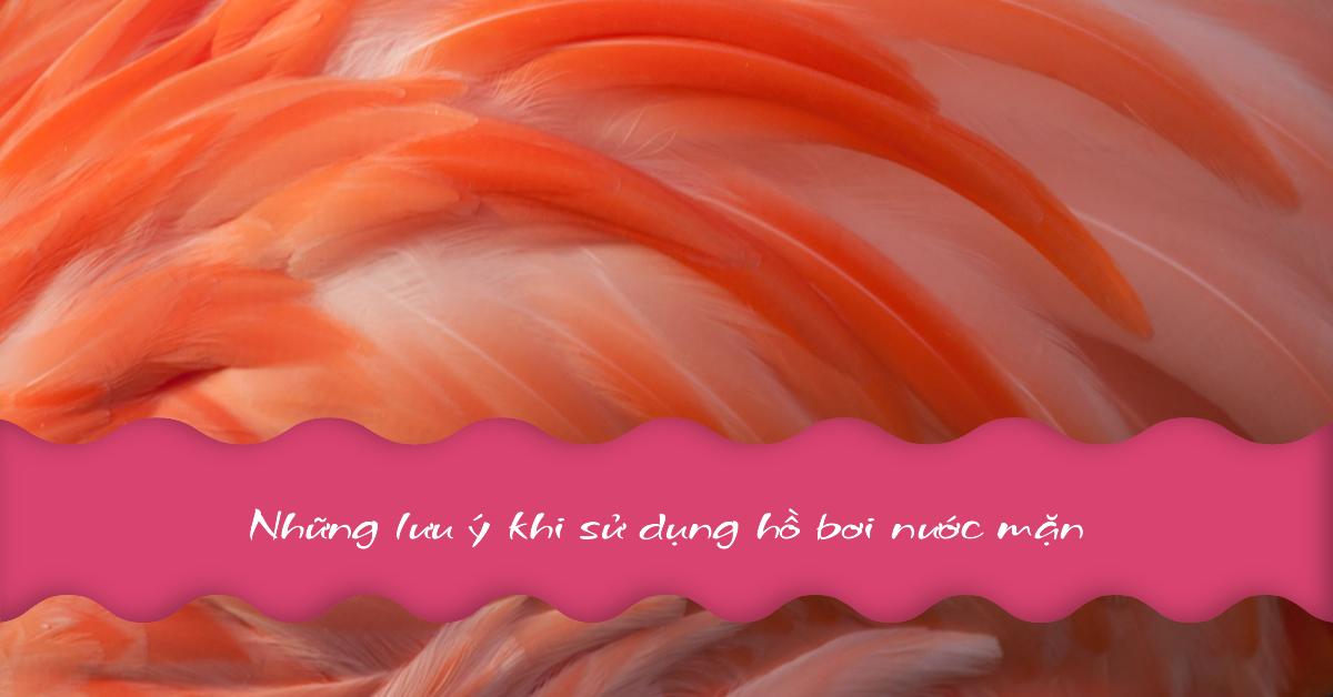 Những lưu ý khi sử dụng hồ bơi nước mặn