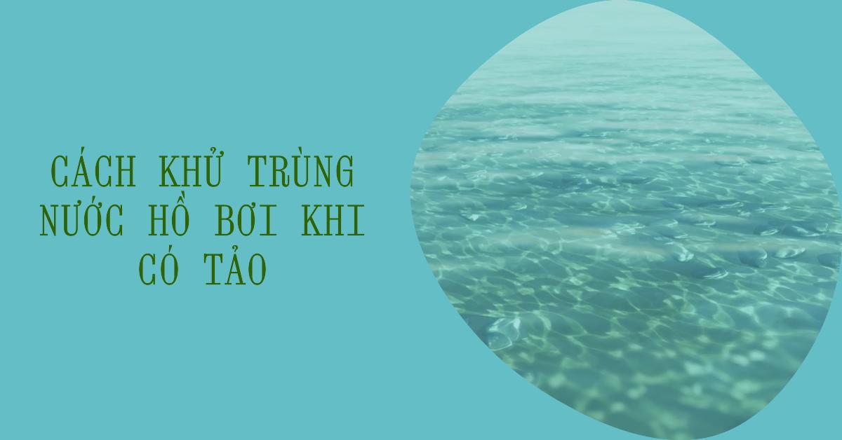 Cách khử trùng nước hồ bơi khi có tảo