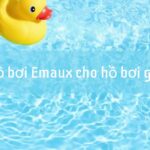 Bơm hồ bơi Emaux cho hồ bơi gia đình