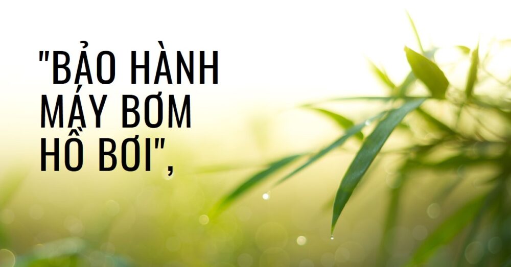 Bảo hành máy bơm hồ bơi Tất tần tật những điều bạn cần biết