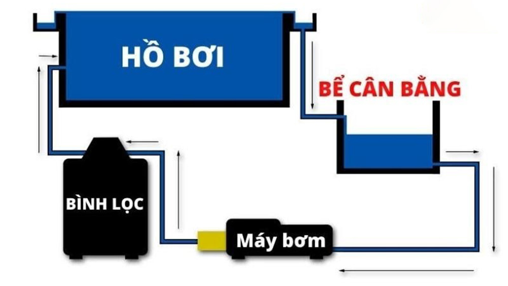 Các Thành Phần Cơ Bản của Một Hồ Bơi