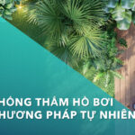 Cách chống thấm hồ bơi bằng phương pháp tự nhiên