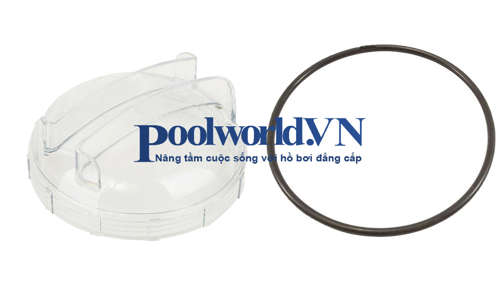 Nắp đậy và vòng đệm máy bơm hồ bơi