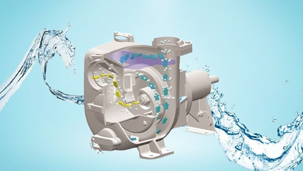 Nguyên lý hoạt động của máy bơm hồ bơi