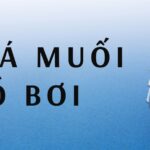 Giá muối hồ bơi