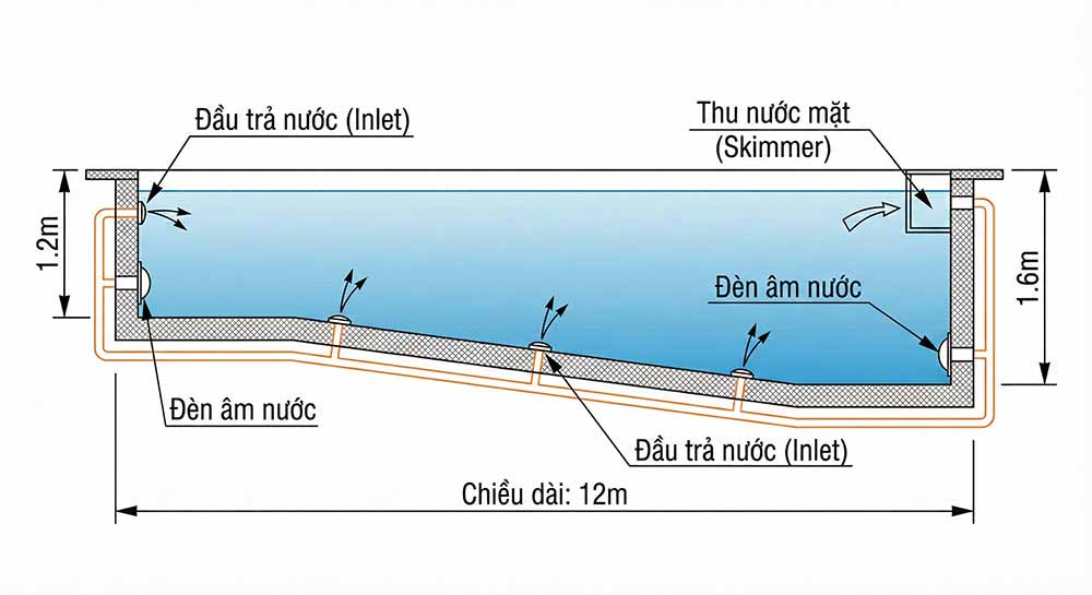 Sơ đồ kỹ thuật mặt cắt ngang hồ bơi dài 12m thể hiện độ dốc đáy từ 1.2m xuống 1.6m, vị trí lắp đặt Skimmer, đầu trả nước và đèn âm nước